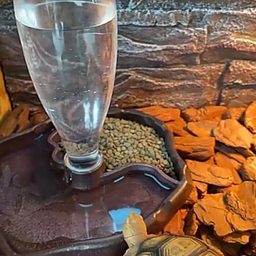 Beavorty Automatic Reptile Water Feeder Bowl for Tortoises and Lizards, Reptile Water Dish with Reservoir, Sturdy Pet Feeding Accessory for Terrariums, Blue and Brown