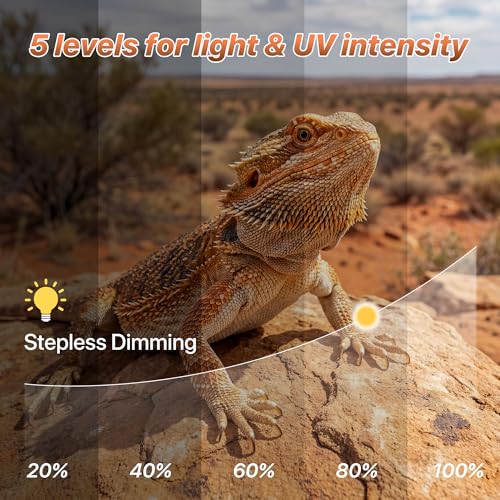 LED UVB Reptile Light with Timer & Dimmer (12inch) | 12W Full Spectrum UVA UVB Lamp with 3 Lighting Modes,5-Level Dimmable,4/8/12H Cycle Timer,for Bearded Dragon,Gecko,Tortoise - size: 12inch