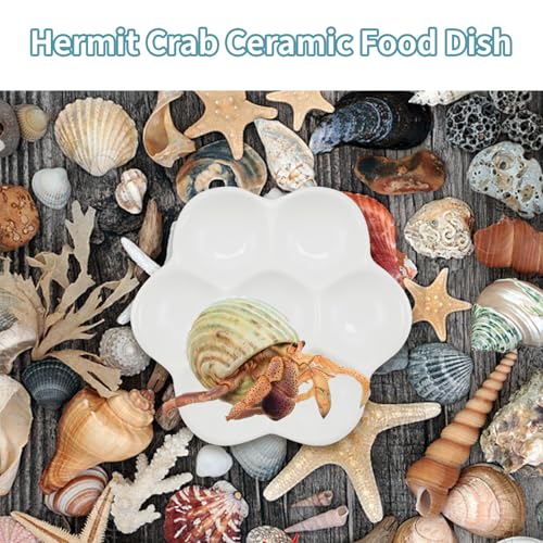 5.51" Hermit Crab Ceramic Food Dish,7 Compartments Ceramic Anti-Turning Food & Water Bowl for Hermit Crab Tarantula Snail - size: 6 inch