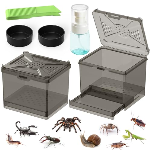 Spider Habitat Kit - Ready-to-Use Box for Small Insects,Dubia Roach, Cockroaches, Crickets, Scorpions, Centipedes, Mantises & Snails 3.74''x3.15''x3.35''(No Assembly Needed)