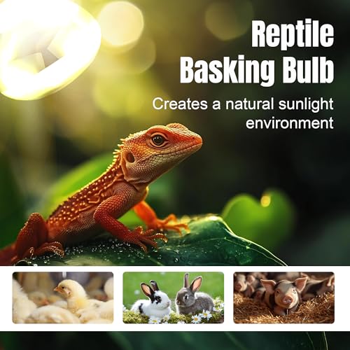 250W R40 White Heat Lamp Bulbs (4-Pack), Infrared Heat Bulbs, Infrared Therapy Bulbs for Bathroom, Sauna, Pets & Chickens, 2,000 Hour Rated, E26 Base - color: White