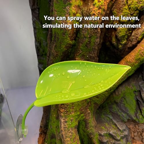 BNOSDM Crested Gecko Tank Accessories 3 Pcs Plastic Leaf Decorations with Suction Cup Gecko Climbing Toy Frog Habitat Platform Reptile Terrarium Decoration for Tree Frog Resting Spot