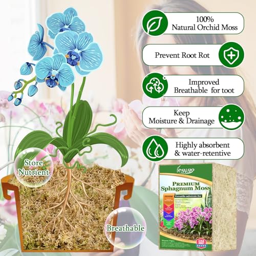 Legigo 2.2lb Natural Sphagnum Moss for Plants, 40QT Long Fiber Orchid Moss Potting Mix, Dried Sphagnum Moss for Plants Indoor, Orchid Repotting, Succulent, Carnivorous Plants, Terrarium and Reptiles - size: 2.2lb