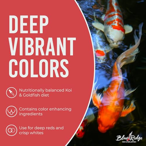 Blue Ridge Koi Fish Food 25lb - Koi Food 3/16” Large and Mini Blend Growth Formula, Goldfish Food, Premium Fish Food for Ponds, Ponds Fish Food, Floating Pond Pellets - size: 25 Pound (Pack of 1)
