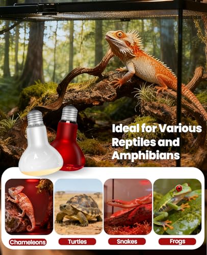 KINDEEP 150W Reptile Heat Lamp Bulbs: Reptile Day & Night Basking Spot Bulb Combo Amphibian Infrared Heat Lamp Bulb - UVA Basking Spot Daylight Heating Light Bulb for Lizard Tortoise Snake
