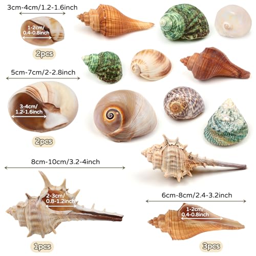 QUOZUO Hermit Crab Shells - Natural Coconut Shell Hut with Artificial Plants, Seashells for Crab Tank Hideouts - 22 PCS