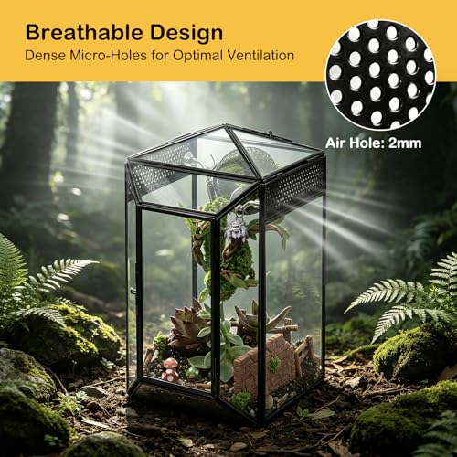 Glass Jumping Spider Enclosure Kit,Escape Proof Gothic Spider Tank | Fence Kits Terrarium Desktop Display Habitat for Jumping Spiders,Arboreal Tarantulas,Critter Keeper(No Plants)