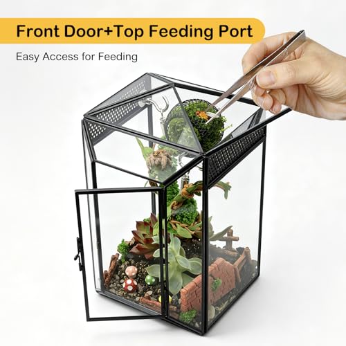 Glass Jumping Spider Enclosure Kit,Escape Proof Gothic Spider Tank | Fence Kits Terrarium Desktop Display Habitat for Jumping Spiders,Arboreal Tarantulas,Critter Keeper(No Plants)