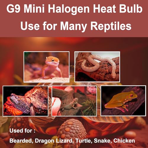 G9 Heat Lamp Bulbs for Reptile,Night Red, Mini Halogen Bulb 50W, Infrared Reptile Heat Lamp for Bearded Dragon Gecko Turtle Lizard, Pack of 3 - size: 50W-Pack of 3
