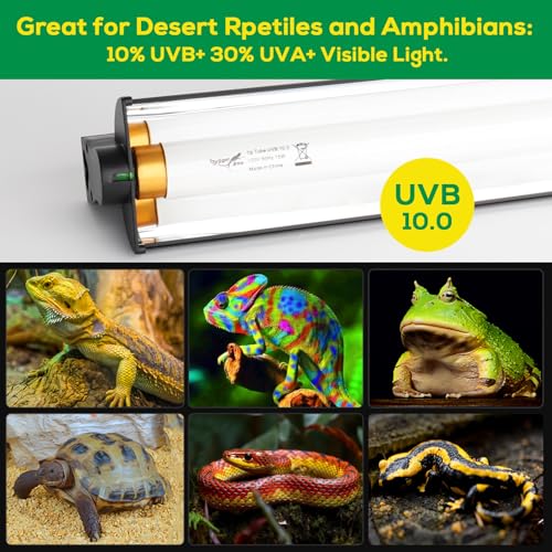 T8 10.0 UVB Reptile Light Fixture UVB Bulb Lighting Combo Kit, HO 17W UVB Light for Reptiles Terrarium Hood with Reptile UVB Light Bar UVB Tube Light Lamp Desert for Bearded Dragon Turtle Tank, 24Inch - size: T8-24Inch