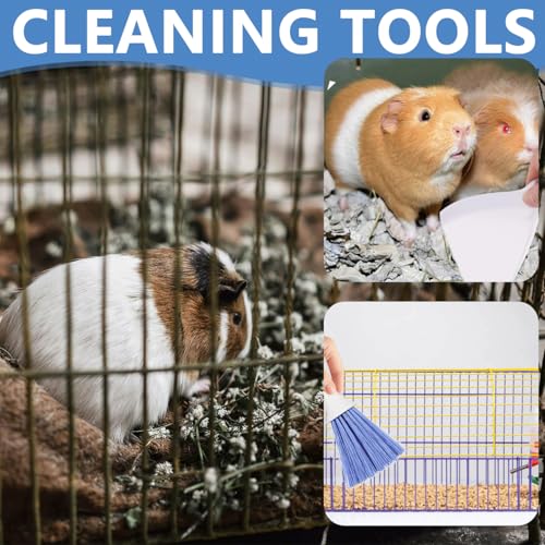 Mini Dustpan and Brush, Reptile Scoop Feeding Tool, Stainless Steel Straight Tweezers and Curved Tweezers for Reptiles, Hamsters, Hedgehogs, Rats, Guinea Pigs, Lizards and Other Small Animals(Black)