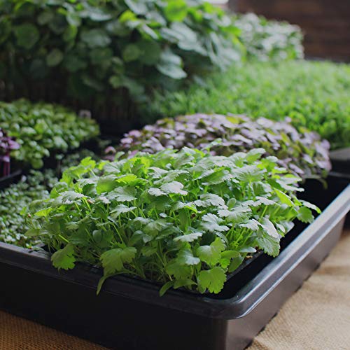 Minute Soil Block - Coco Coir - Compressed - Blocks & Bulk (1 Block) - size: 1 Block