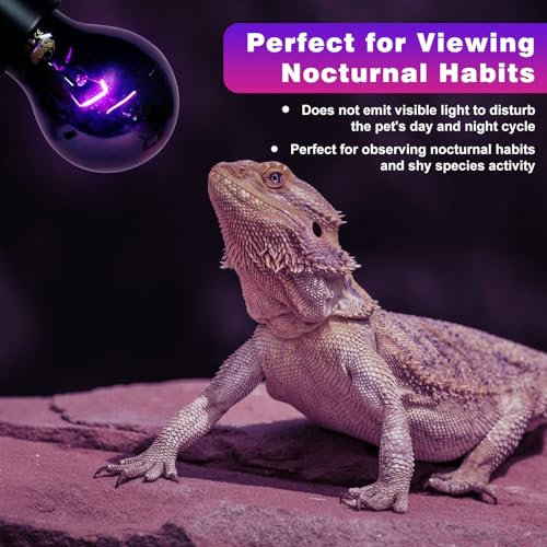 LUCKY HERP Reptile Heat Lamp 50W 2 Pack, Reptile Night Heat Bulb, Reptiles & Amphibians Basking Spot Light Bulb for Bearded Dragon, Lizard, Snake, Turtle, Chameleon