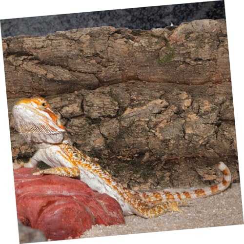 3pcs Bark Backdrop for Reptile and Fish Tanks Lightweight Terrarium Background Easy to Install Decor for Turtles Lizards and Amphibians