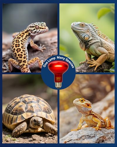 FLSNT 2 Pack Reptile Red Heat Lamp Bulbs,100W Infrared Basking Spot Light for Turtles, Leopard Gecko, Ball Python, Bearded Dragon, Chicken - color: Infrared Heat Lamp