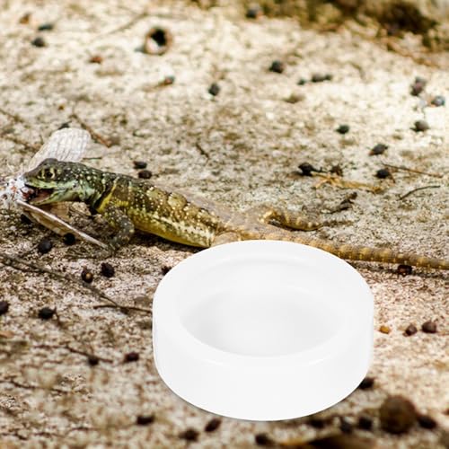 Reptile Feeding Bowls Round Shape 2 Pcs Ceramic Stable Desktop Standing, Anti-Escape Design Feeding Dish for Water and Food for Small Lizards and Reptile Animals