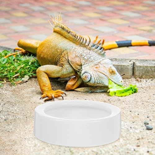 Reptile Feeding Bowls Round Shape 2 Pcs Ceramic Stable Desktop Standing, Anti-Escape Design Feeding Dish for Water and Food for Small Lizards and Reptile Animals