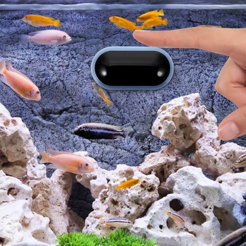 TOYANDONA Fish Tank Temperature Gauge Digital LED Thermometer with Suction Cup High-Precision Aquarium Water Temperature Monitor for Reptile Terrarium Use