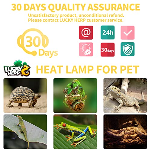 LUCKY HERP New Upgrade 75W Reptile Heat Lamp Bulb (3rd Gen, Safer), Amphibian Basking Spot Light Bulb, UVA Reptile Daylight Bulb for Turtle, Bearded Dragon, Lizard Heating Use (2 Pack) - color: 3rd Gen 75w Heat Lamp, size: 3rd Gen Reptile Heat Lamp