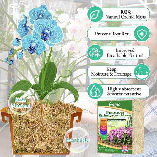 Legigo 1.1lb Sphagnum Moss for Plants, 20QT Orchid Moss Potting Mix | Long Fiber Sphagnum Moss Dried for Plants Indoor, Orchid Repotting, Succulent, Carnivorous Plants, Terrarium and Reptiles - size: 1.1lb