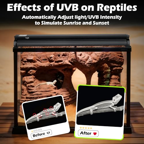 UVB Light for Reptiles 16W 27.5IN LED UVA UVB Terrarium Lamp with 4 Auto Modes for Ferguson Zones UVB Bulb with Timer for Rainforest and Desert Reptiles, Geckos, Chameleons and Bearded Dragons - size: 16W-27.5IN