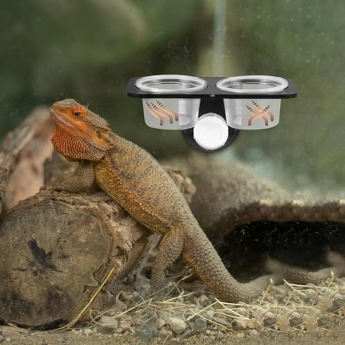 POPETPOP Reptile Feeder Bowl with Suction Cup 4.52X2.36X6.49In Water and Food Container for Lizard Turtle Gecko Chameleon Scorpion Tank Accessories