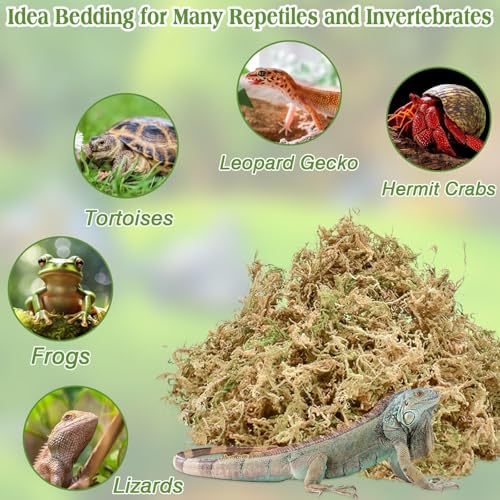 Halatool 3.5OZ Natural Sphagnum Moss for Reptiles Premium Reptile Moss Ideal Terrarium Moss for Box Turtles Hermit Crabs Leopard Gecko Snakes and Hamsters Enclosure - size: 3.5oz