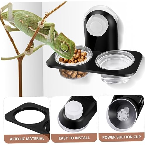 BESPORTBLE 2pcs Suction Cup Reptile Feeders Double Bowls for Food and Water Durable Reptile Feeding Dishes with Strong Suction for Lizards Geckos and Bearded Dragons