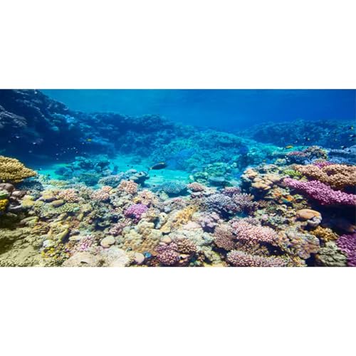 AWERT 48x24 inches Underwater Aquarium Background Coral Reef Undersea Fish Tank Background Polyester Background - size: 48 x 24 in