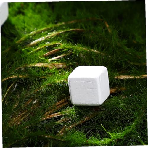 30pcs Natural Mineral Rocks for Reptiles and Amphibians Calcium for Turtle Tortoise Frog Lizard Chameleon Teeth Grinding Aid Water Quality Stabilizer