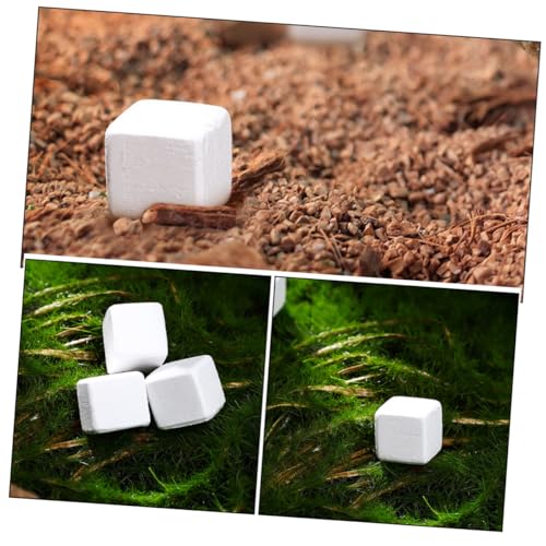 30pcs Natural Mineral Calcium Block for Reptiles and Amphibians Supports Growth and Dental Health for Tortoises Turtles Frogs Lizards Chameleons Provides Essential Trace Elements