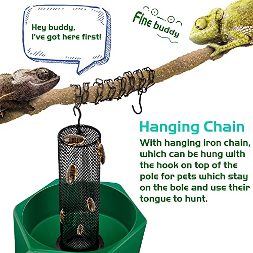 Chameleon Feeding Kit, Come with a Hookable Feeding Bowl and a Reptile Water Feeder, Perfect for Leaving Your pet Whilst on Vacation