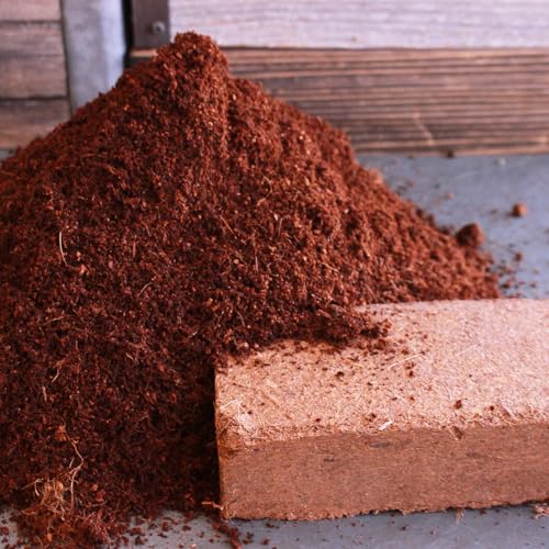 Mountain Valley Seed Co Minute Soil Organic Coco Peat 12 Pack – Lightweight | Growing Bricks Expand to 18 Gal – Potting Mix for Microgreens, Herbs, Vegetables, Flowers, Indoor Containers, Seed Trays - size: Bricks - 12 Pack