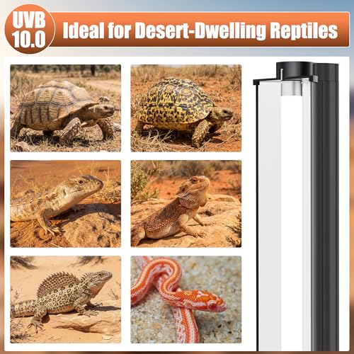 T5 UVB 10.0 Reptile Light Fixture Combo Kit (34Inch) | 21W UVB 10.0 Light Bar with T5 HO Terrarium Hood Light Fixture for Desert Reptiles, Bearded Dragons, Lizards, Tortoises - size: 34Inch