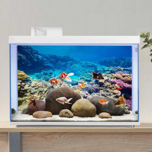 AWERT 48x24 inches Underwater Aquarium Background Coral Reef Undersea Fish Tank Background Polyester Background - size: 48 x 24 in