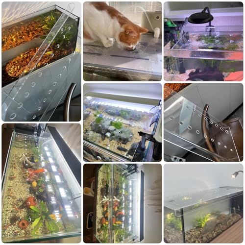 Acrylic Aquarium Anti-Jump Cover, Cat-Proof Terrarium Lid, Fish Tank Top Mount Hood with Hole, 8-20 Inch Wide (L40xW20cm/15.7x7.9in) - size: L30xW30cm/11.8x11.8in