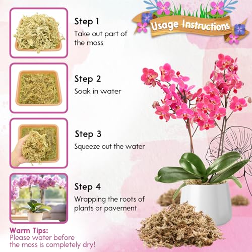 Riare 3.5 OZ Premium Sphagnum Moss for Plants- 4QT Natural Long Fiber Sphagnum Peat Moss Dried, Plants Moss Orchid Potting Mix for Orchids Repotting, Carnivorous Succulent Potted Plants and Reptiles - size: 4QT/3.5oz