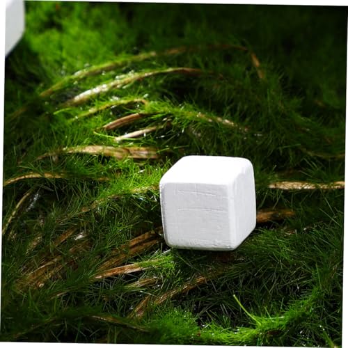 BESPORTBLE 30pcs Natural for Reptiles and Amphibians and Growth for Tortoise Turtle Lizard Frog and Chameleon Enrich Water Quality and Strengthen Immunity