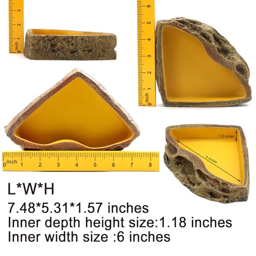 Reptile Feeder Resin Bowl Amphibian Reptile Bowl for Lizard Gecko Bearded Dragon Turtle