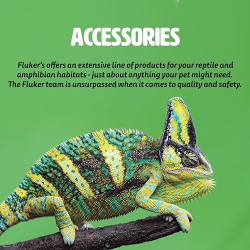 Fluker's Repta Bowl, Food and Water Bowl for Reptiles and Small Animals, Large 9" - size: Large