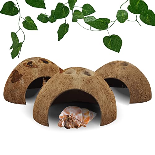 Hamiledyi Reptile Hideouts Natural Coconut Shells Hut Hermit Crab Climbing Toys Gecko Hide Cave Lizard Habitat Decor Plant Leaves Decoration for Spider Snake Chameleon (4Pcs)