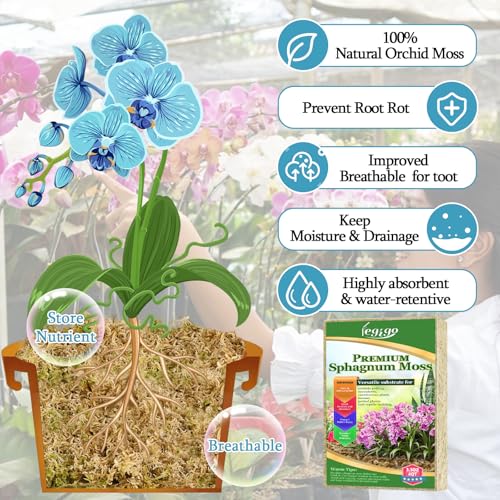 Legigo 3.5oz Sphagnum Moss for Plants, 4QT Orchid Moss Potting Mix | Long Fiber Sphagnum Moss Dried for Plants Indoor, Orchid Repotting, Succulent, Carnivorous Plants, Terrarium and Reptiles - size: 3.5oz