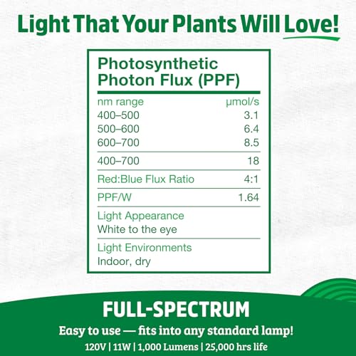 Back to The Roots Full Spectrum LED Grow Lights Value 2-Pack