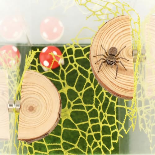 Jumping Spider Accessories Kit – 5 Pcs Set with Mushroom Platforms, and 1 Spider Webs for Climbing, Feeding, and Decorating