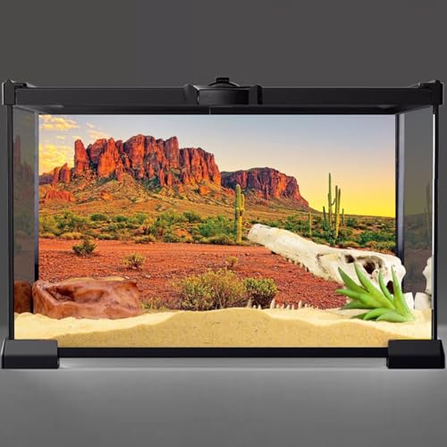 AWERT 30x18 inches Reptile Habitat Background Sky Oasis Mountain Cactus Sun and Desert Terrarium Background Durable Polyester Background - size: 30x18in/75x45cm