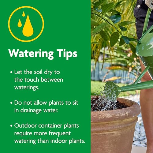 Miracle-Gro Cactus, Palm & Citrus Potting Mix, 8 qt. - size: 1-Pack