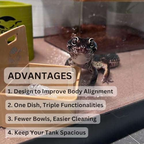 Geckopia Triple Dish | Marble - color: Marble