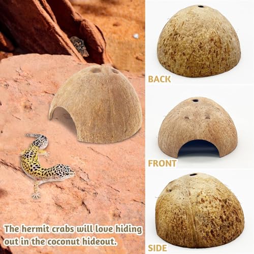 PINVNBY 2 PCS Natural Coconut Reptile Hideouts Lizard Coco Hut Hermit Crab Hut Aquarium Fish Hide Cave Spider Snail Climber Toys - size: 2 PCS Smooth Surface