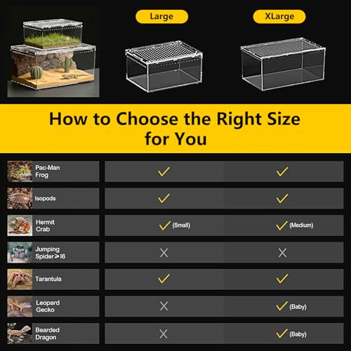 Reptile Growth Reptile PC Terrarium,Tarantula Enclosure,Spider Tank with Magnetic Button.12"x 8" x 6" Lizard Enclosure,Reptile Breeding Tank for Insect,Fish,Tarantula,Hermit Crab,Small Bearded Dragon - size: 12" * 8" * 6"