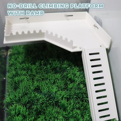 No-Drill Climbing Platform with Ramp, Hermit Crab Climbing Wall & Hideout, Multi-Level Platform with Ladder, No-Tools Mounting for Geckos, Small Lizards, Hamsters - color: White